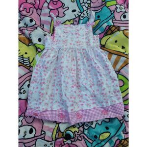 Girls Toddlers Rose Floral Pink Plaid Dress Buttonup Ribbon Brooks Fitch Apparel